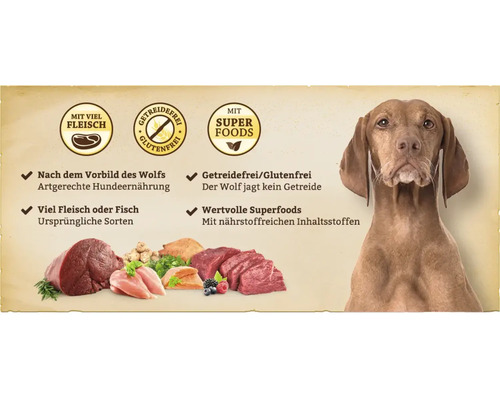 Chien avec nourriture pour chien avec beaucoup de viande, sans céréales et des superaliments