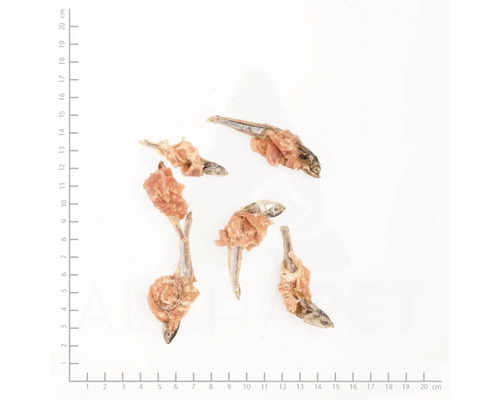 Fünf getrocknete Fische mit Fleischbeilage, Tiernahrung