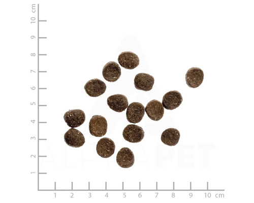 Hundetrockenfutter auf Zentimeterskala