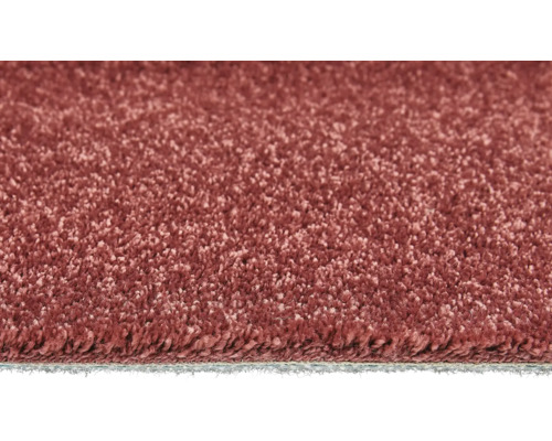 Gros plan d''un tapis