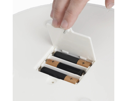 Compartiment à piles avec piles