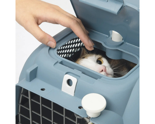 Chat dans une caisse de transport avec porte grillagée