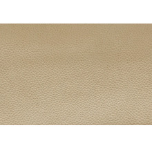 Gros plan d''une surface en cuir