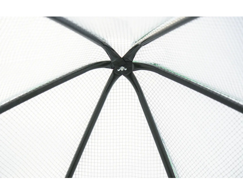 Vue détaillée de la structure d''une serre avec filet