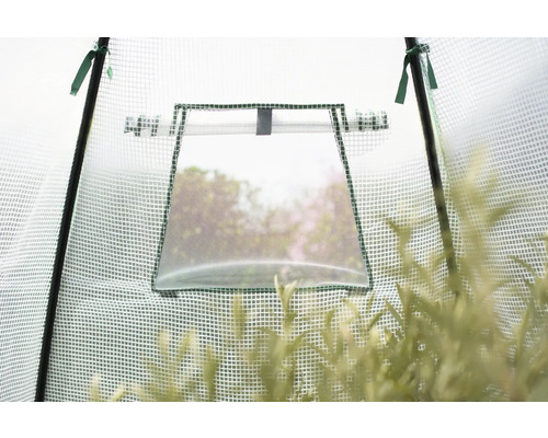 Vue détaillée d''une serre avec une fenêtre ouverte pour la ventilation.