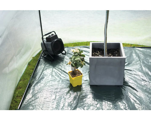 Aménagement intérieur d''une serre avec chauffage et plantes en pot