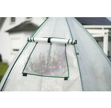 Detailaufnahme eines Gewächshauses mit Fenster