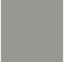 Laque de protection du métal HAMMERITE mate gris clair 750 ml