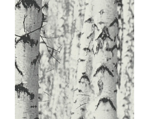 Papier peint avec motif de forêt de bouleaux