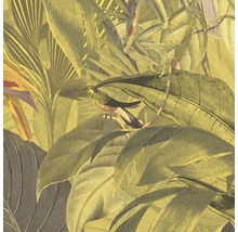 Illustration de feuilles tropicales, d''un lézard et d''un oiseau