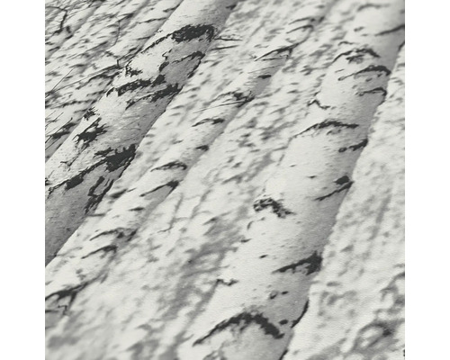 Gros plan d''un motif de papier peint avec des troncs de bouleau