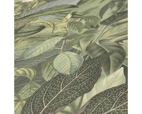 Gros plan de feuilles avec motif végétal