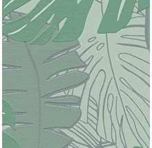 Tapete mit Monstera Blatt Muster