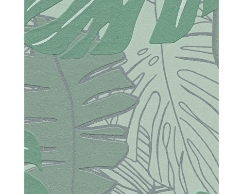 Papier peint avec motif de feuille de Monstera
