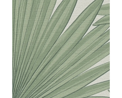 Nahaufnahme einer Tapete mit Palmenblattmuster