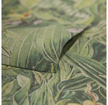 Gros plan d''un papier peint vert à motif jungle.