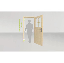 Image d''une porte avec une largeur de passage de 195 centimètres.