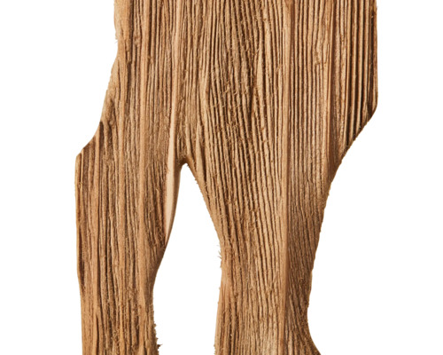 Morceau de bois avec grain