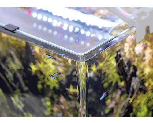 Gros plan d''un aquarium avec des plantes, des poissons et un éclairage.