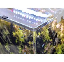 Vue détaillée d''un aquarium avec des plantes, des poissons et un éclairage LED