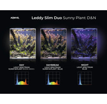 Aquael Leddy Slim Duo Sunny Plant D&N aquarium avec spectre lumineux jour, aube et nuit