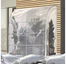 Gewächshaus mit Pflanzen im Winter
