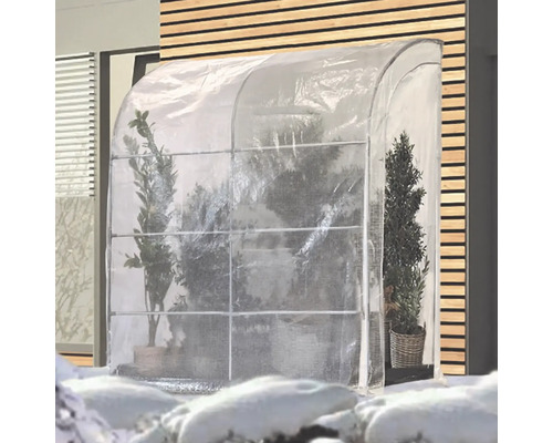 Gewächshaus mit Pflanzen im Winter