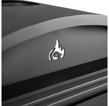 Detailansicht eines Gasgrills mit Flammenlogo