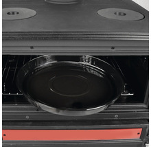Cuisinière à bois avec plaque de cuisson dans le four