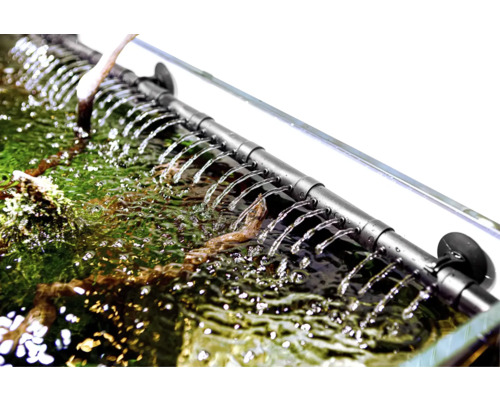 Aquarium mit einem Sauerstoffausströmer, der Wasser sprüht, um die Sauerstoffzirkulation zu verbessern