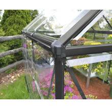 Vue détaillée d''une serre avec des panneaux transparents et un cadre.