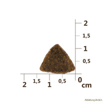 Morceau unique de nourriture sèche triangulaire avec indication de la taille en centimètres
