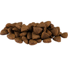 Aliments secs bruns triangulaires pour chiens