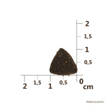Un seul morceau de nourriture sèche triangulaire avec indication de la taille en centimètres