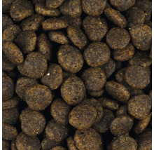 Nahaufnahme von Trockenfutter für Hunde