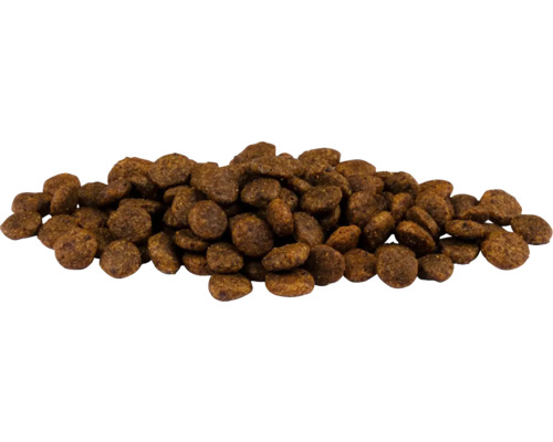 Haufen Trockenfutter für Hunde