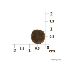 Un seul morceau de nourriture sèche avec indication de la taille en centimètres