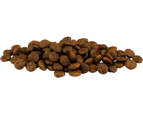 Tas de nourriture sèche pour chiens