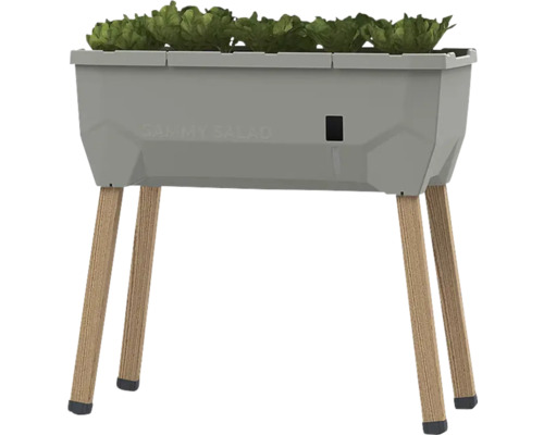 Hochbeet mit Salatpflanzen und Holzbeinen