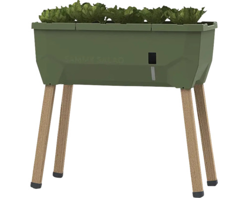 Hochbeet mit Salatpflanzen und Holzbeinen