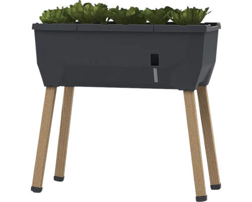 Jardinière surélevée avec plants de salade et pieds en bois