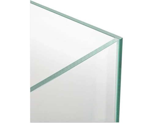 Detailansicht eines Glasaquariums.