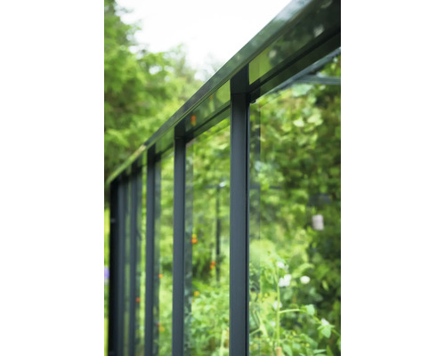 Detailansicht eines Gewächshauses mit Glas und Metallrahmen