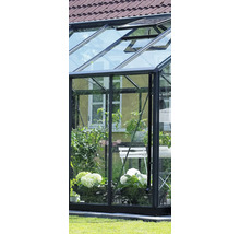 Gewächshaus mit Pflanzen und geöffneten Fenstern