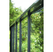 Detailansicht eines Gewächshauses mit Glas und Metallrahmen