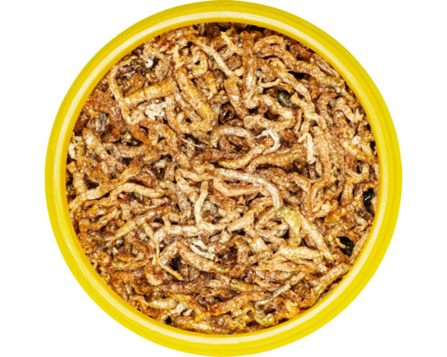 Dose mit getrockneten Mehlwürmern als Vogelfutter