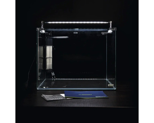 Aquarium avec filtre et éclairage