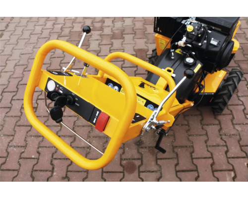 AS Motor Grasschneider Detailansicht der Steuerungselemente