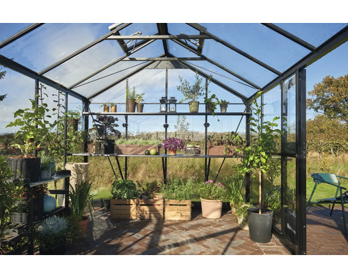 Serre avec des plantes en pots et en caisses sur des étagères et au sol.