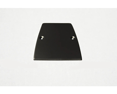 Plaque de recouvrement avec deux trous de fixation